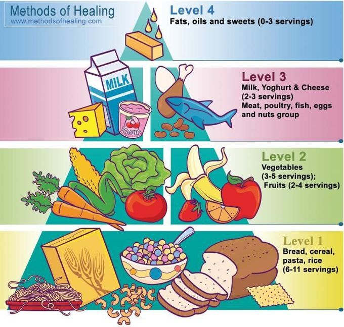 Food Pyramid