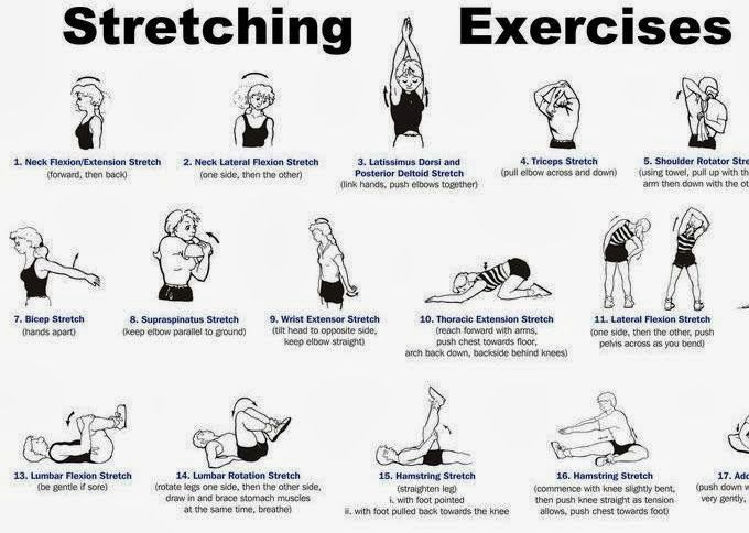 STRETCHING EXERCISES